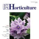 진흥종묘사 이미지