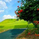 행정사신정호사무소 이미지