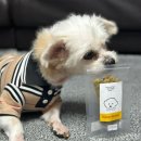 몽도날드 | 종류많은 애견 수제간식 몽도날드 배송후기