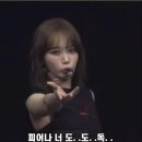 도도독 이미지