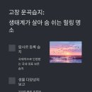 운곡허브 이미지