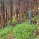 천마산10리길 이미지