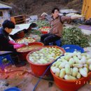 수미 미장원
