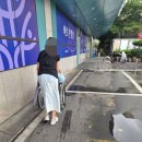 동행설비 | 대구 병원 이동지원 서비스, 휠체어 전용 차량 탑승 및 진료실 동행 케어 후기