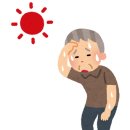 어르신헬스케어센터 | 중구 어르신 헬스케어센터 &lt;✨건강증진실 무료체험 교실✨&gt;