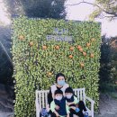 골드원호텔 이미지