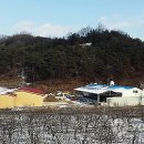 돼지여인숙