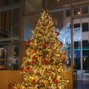 율하자이힐스테이트 정문~윈메이저자이 정문2 | 원메이저 사전점검 실시간 후기 3