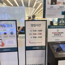헬스트론 대구서구지점 | 대구 서구 샤브샤브 맛집) 샤브올데이 대구서구점 : 월남쌈 무한리필 후기