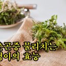 춘곤증 물리치는 냉이의 효능 7가지 이미지