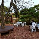 용봉산 자연휴양림 Daum카페
