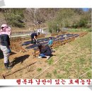 손자농장 이미지