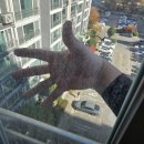 장미마을.현대아파트 | 경기도 성남시 분당구 아파트 유리창 청소 업체 - 야탑동 장미마을현대아파트 거실창 베란다창 청소 후기!