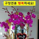 일등인력 이미지