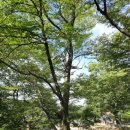 창녕 옥천사지 | 창녕 관룡사