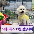 스퀘어독스 롯데남악점 이미지