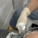 올가뷰티송천 | [전주두피관리] 디톡스 배출 되는 송천동두피관리 올가드림뷰티 송천점