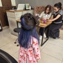 드림마트 도량점