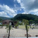 시고르까사 이미지