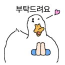 케이키 이미지