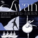 국립발레단 ’백조의 호수’ 이미지