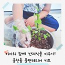홈가드닝 플랜테리어(오창) | 아이와 함께 반려식물 K홉스 플랜테리어 키트로 홉 재배 도전