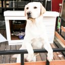 유헤어샵 이미지