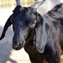 소망건강원 이미지