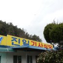 진일카 이미지