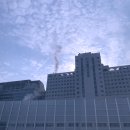 나누리펫 | 갑상선암 여포암 전절제 수술 후 재발 림프절 전이 기록(2017-2020)