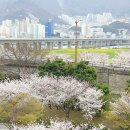 파스쿠찌(강서점) 이미지