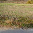 미현리농장 이미지