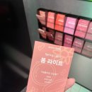 도화우체국 | 광주 충장로 올리브영 퍼스널컬러 진단 후기