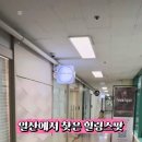 도테라아로마힐링샵