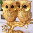 부엉이샵 이미지