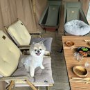 율포초등학교 | 장흥 스테이 우디 ｜전남 광주 근교 독채 펜션 ｜애견 동반 펜션｜광주 근교 한옥 펜션 내돈내산 후기