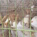 뚜뚜키즈풀빌라앤글램핑 | [경기도 가평] 뚜뚜키즈풀빌라&amp;글램핑 펜션. 온수풀🥽. 80평 독채 가족펜션🏠