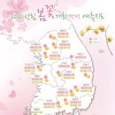 봄꽃