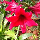 대건재가복지센터 | 강서구재가복지센터 이용 후기, 우리 가족에게 꼭 맞는 방문요양을 찾았어요!