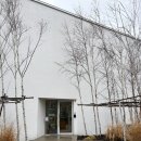 숲속의 빈터 | 양양 카페, 양양 대형카페 추천 | 시골 숲 뷰 숲속의 빈터