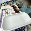 숲속동물병원 | 전남 장흥 숲속의 동물병원 고양이 강아지 예방접종 중성화