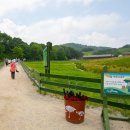 미동목장 이미지