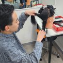 미용사자격증 이미지