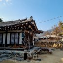 합천한방오리 이미지