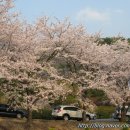삼랑진발전처 이미지