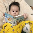 호호 컴퍼니 이미지