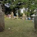 박강 묘역 및 석물 이미지