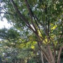 남파랑길 이미지