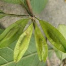 광릉한의원 이미지