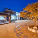 행복애견 이미지